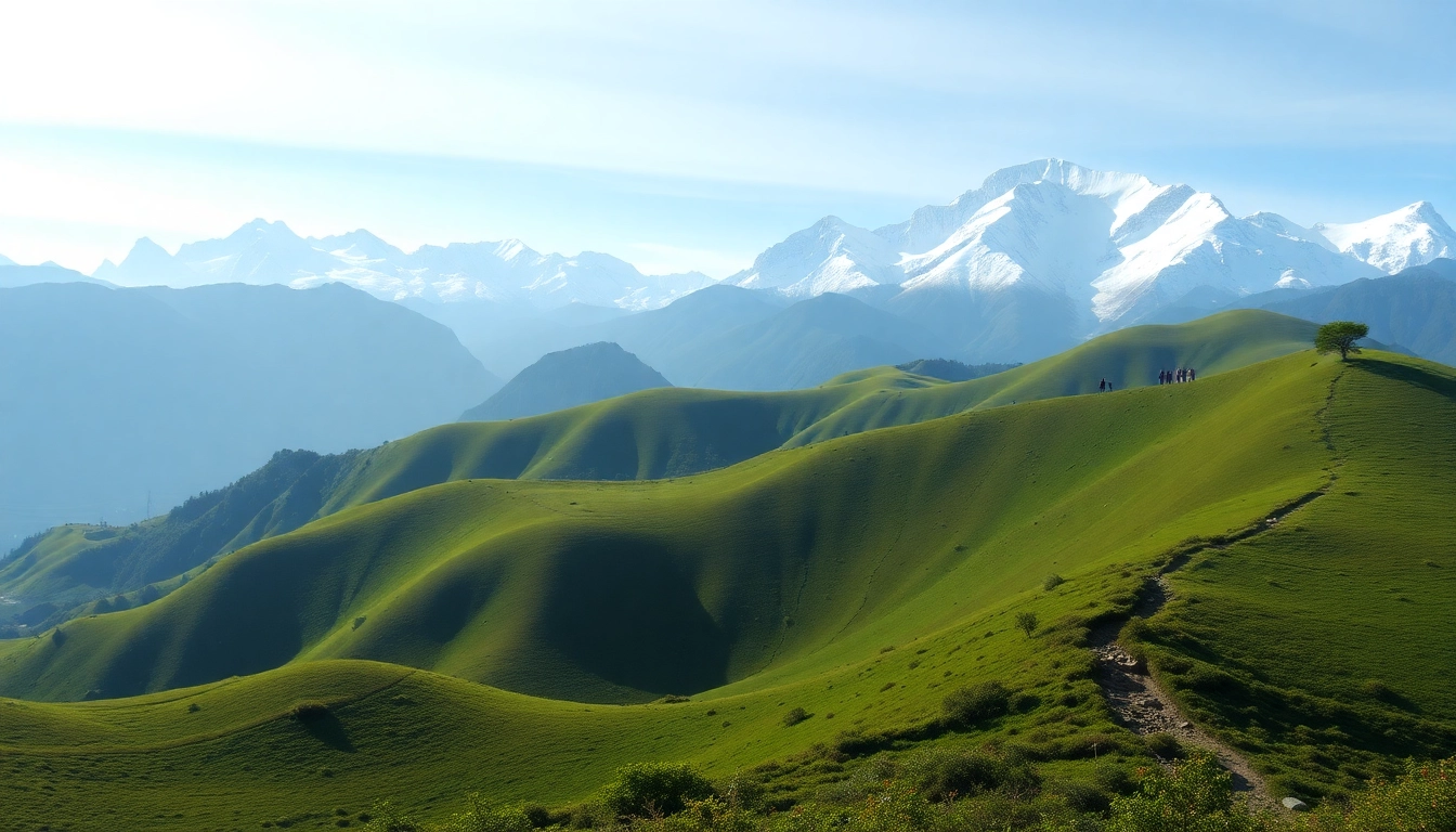 Trekkers ascending during the Sandakphu trek, with panoramic Himalayan peaks in the background. related image